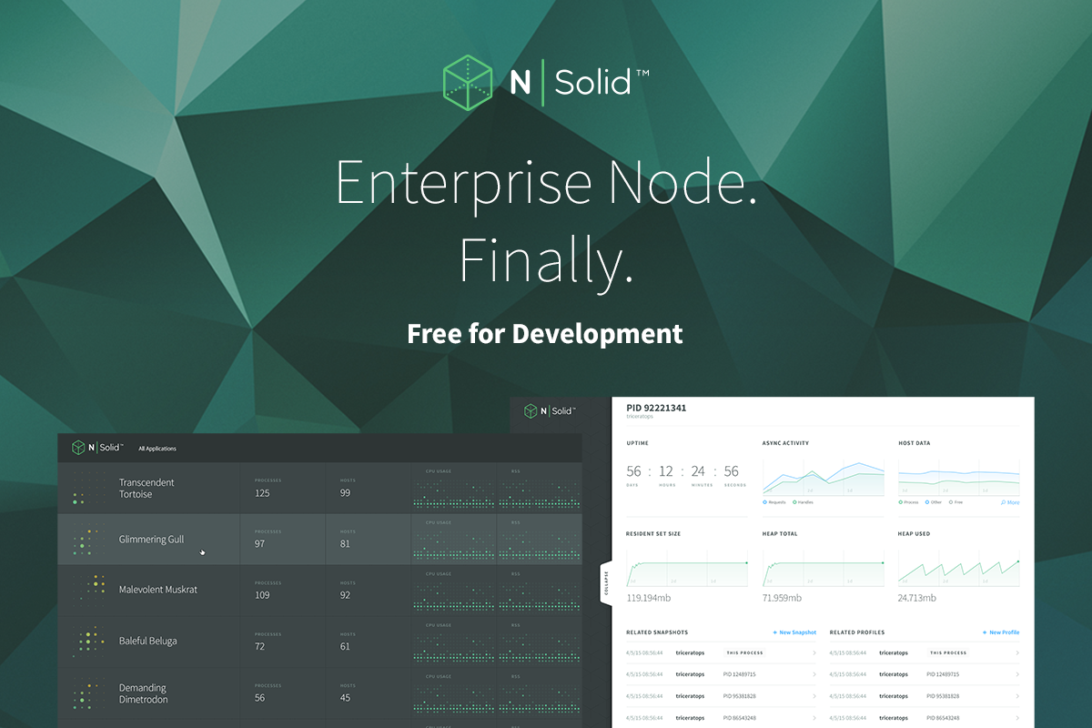 N|Solid wordmark with the line Enterprise Node.js. Finally.