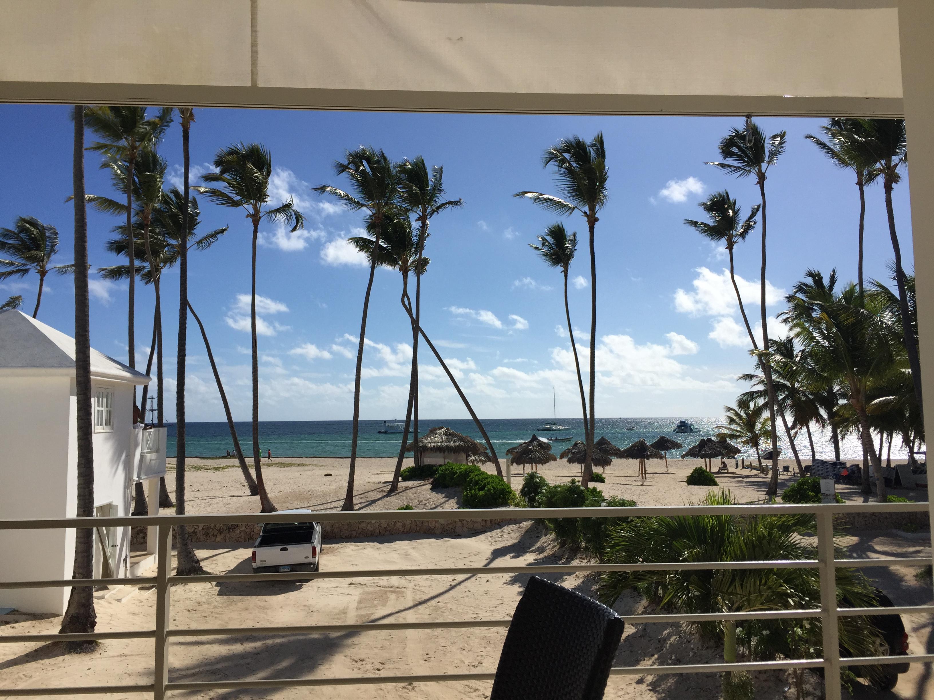 Palm trees and a beach house in Punta Cana
